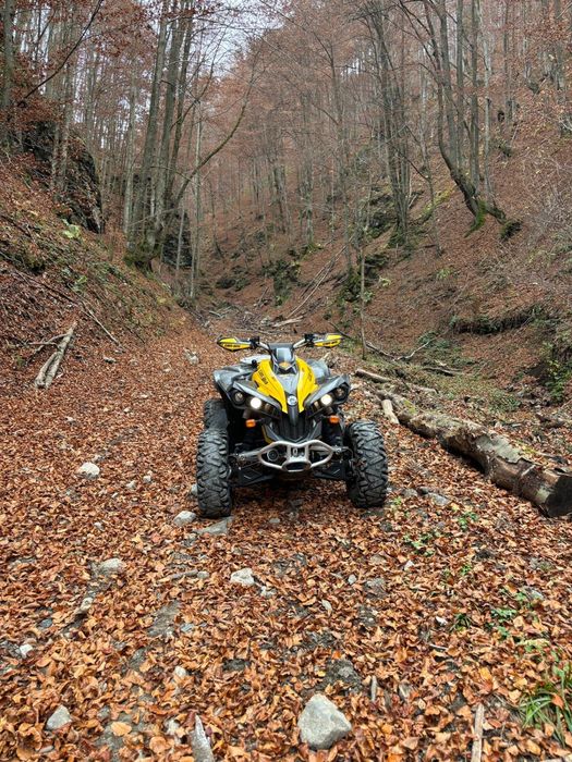 Vand can am renegade 800