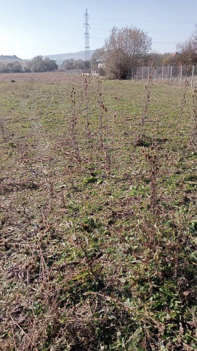 Vand teren intravilan sat Vultureni