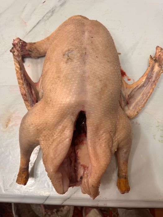 Продам мясо домашнего гуся