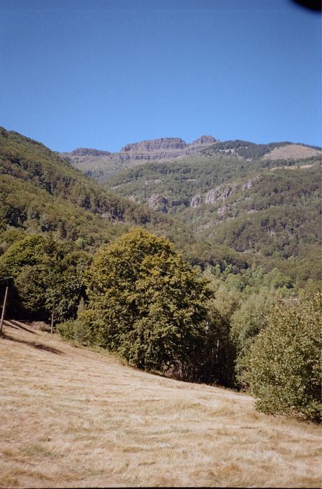 Лентов фотоапарат Yashica T4