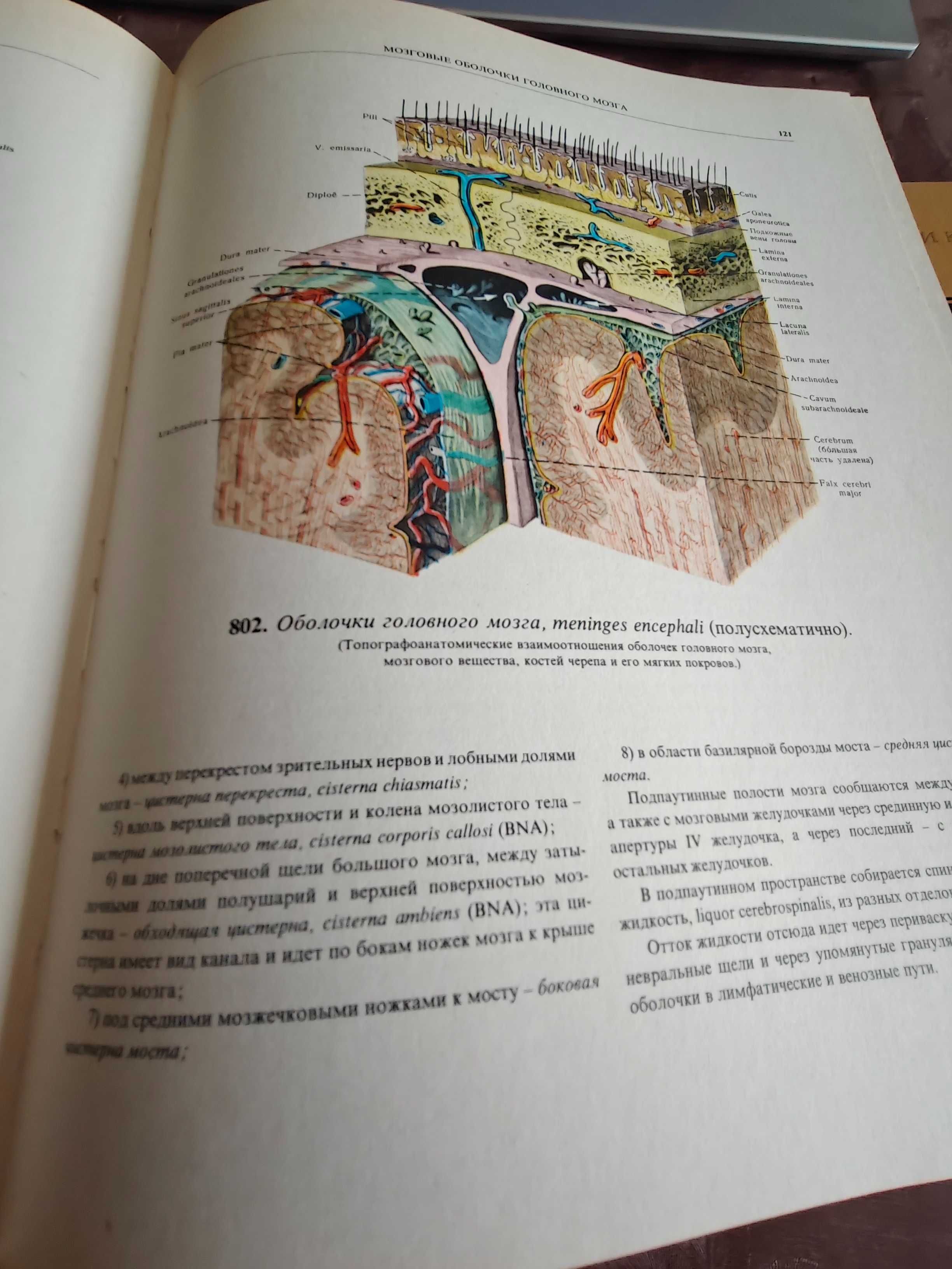Атласи по анатомия на човека Синелников