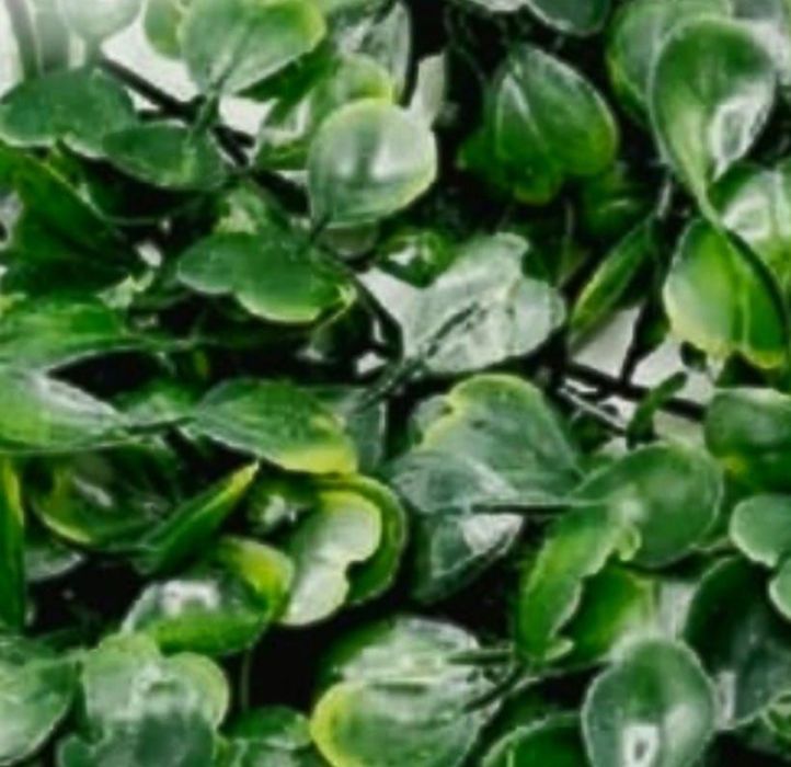 Gard verde artificial