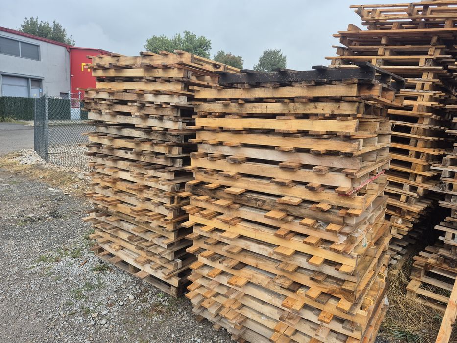 Обикновени палета ,скари