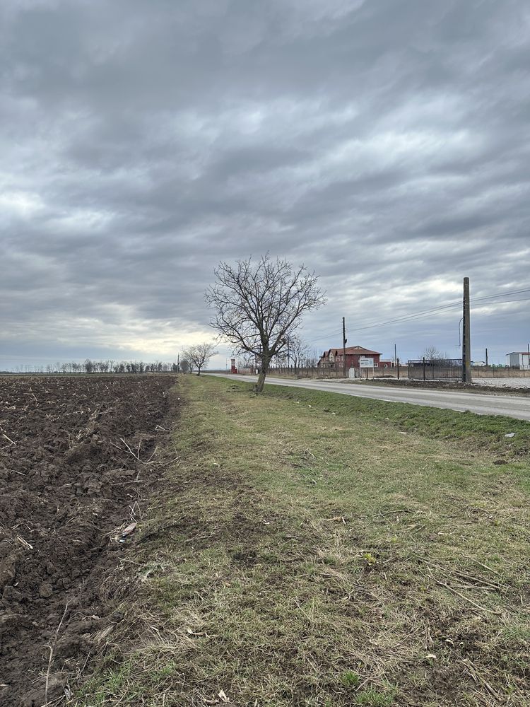 Teren industrial Livada de Bihor