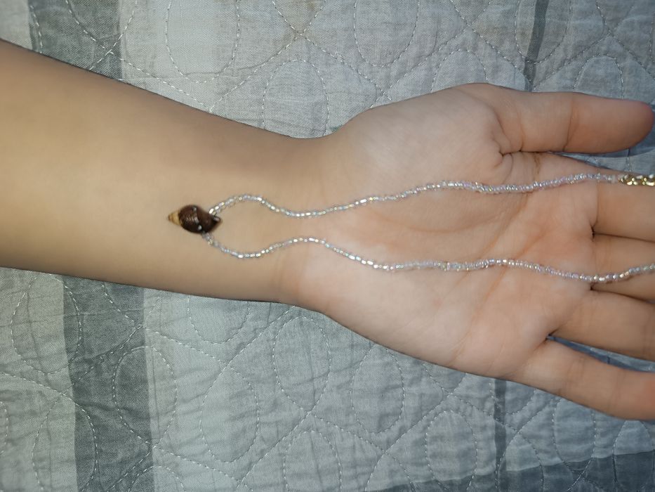 Чокееры из бисера.