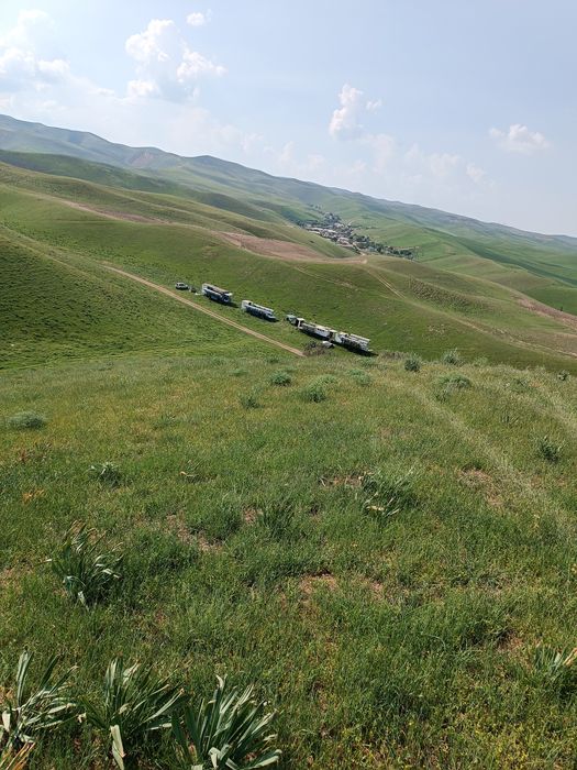 Мёд и продукты пчеловодства