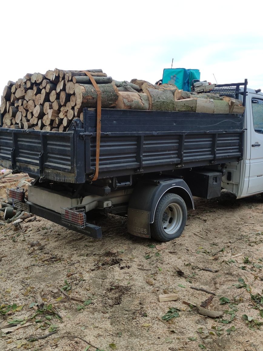 SC transportă lemne de foc Fag uscate sau verzi cubate corect