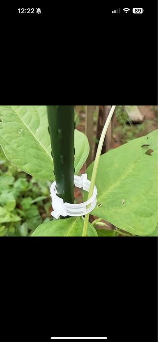 Donez Legatoare rosii/ plant clip