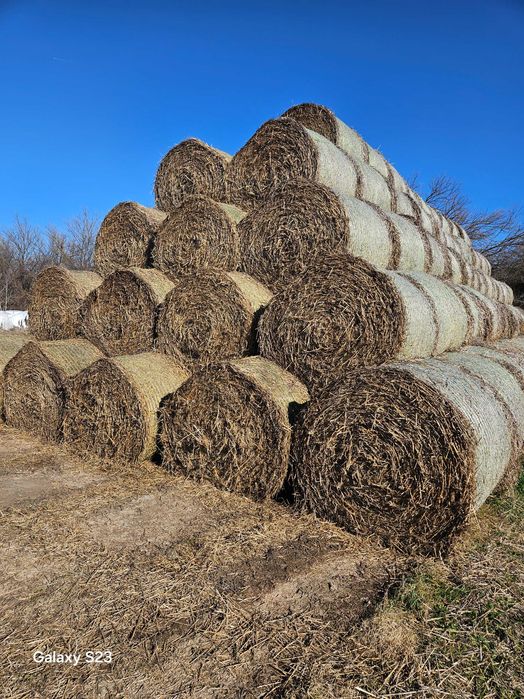 Фолирани бали от люцерна,    и ечемични рулонни бали