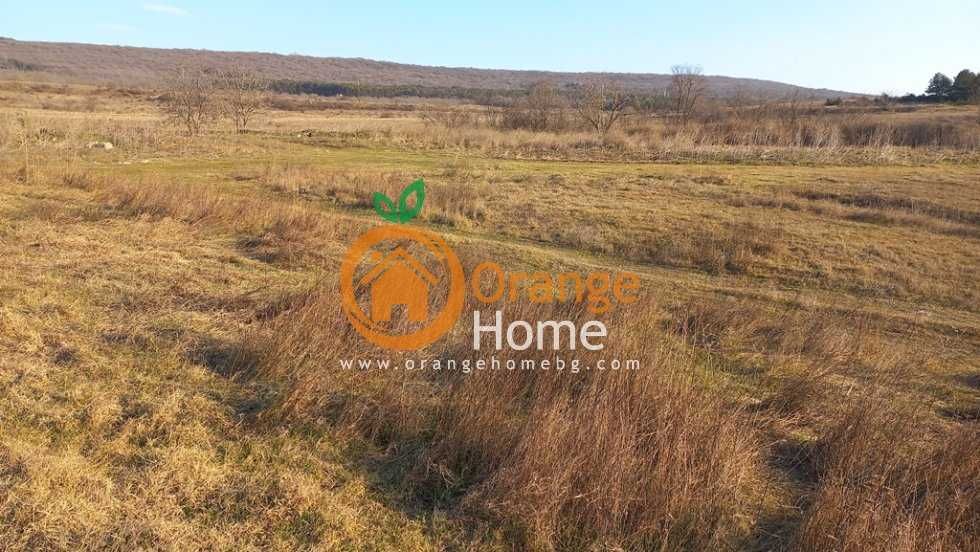 Продава се Парцел в с. Оброчище, Област Добрич - 3000 кв.м за 16 €/кв.м - Снимка #7
