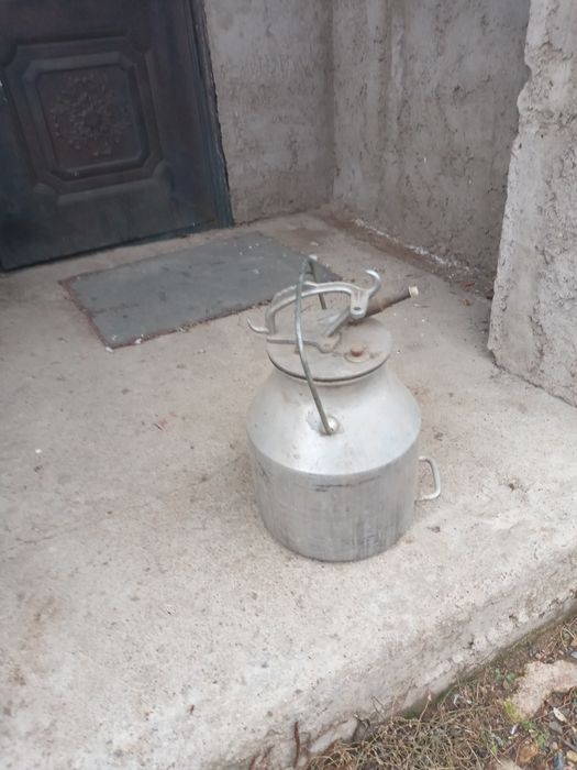 Ведро доильное продам