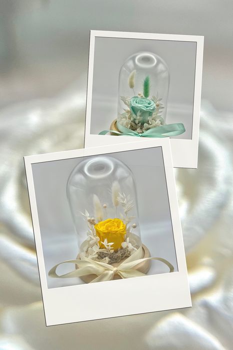 Trandafir criogenat in cupola