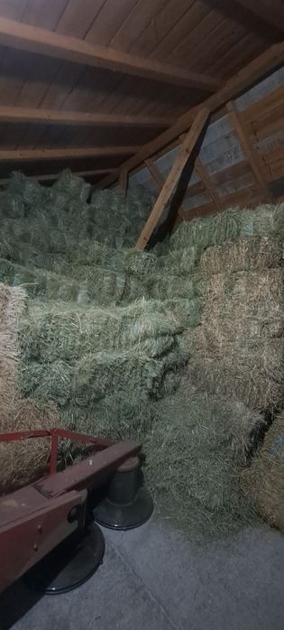 Vând baloti de fân și lucernă dreptunghiulari