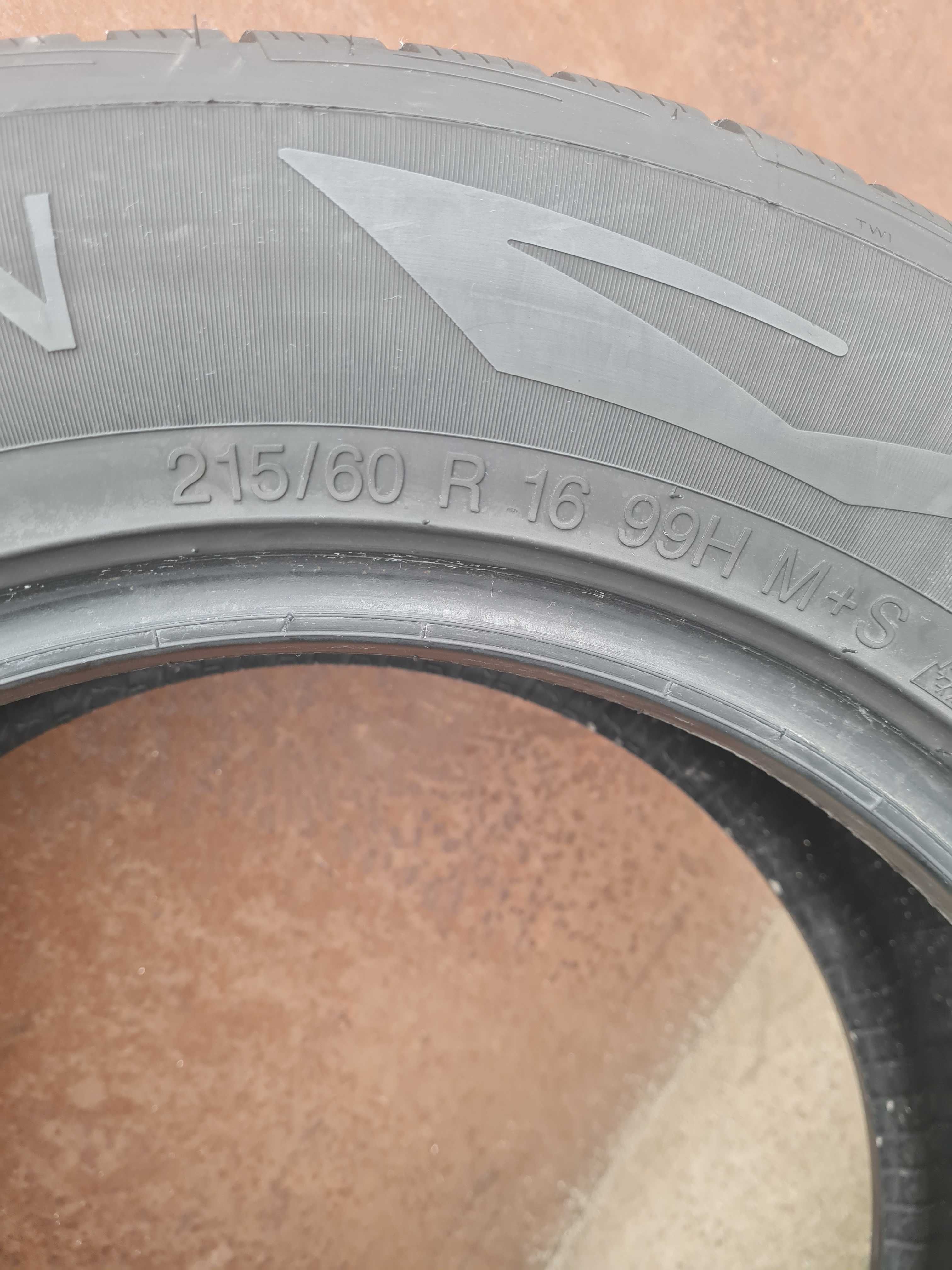 Зимни гуми WREDESTEIN 215Х60ХR16 без забележки ДОТ 2019 Г.