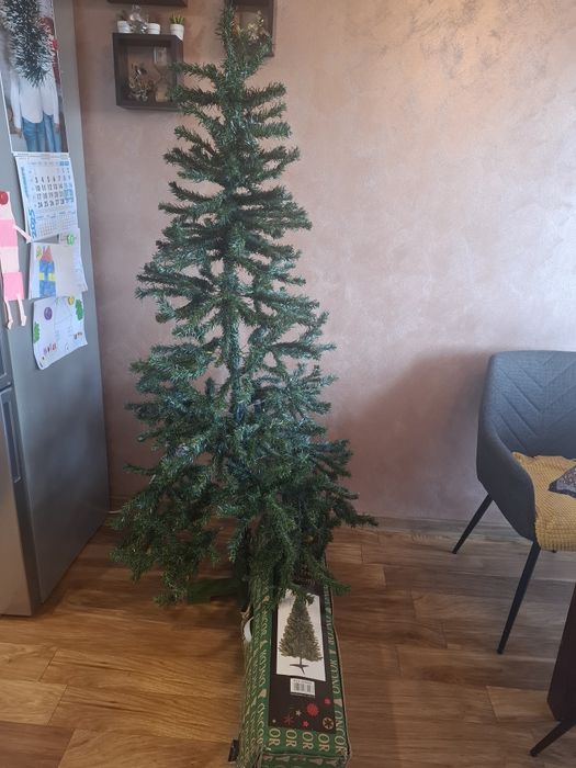 Елха 1.80см висока