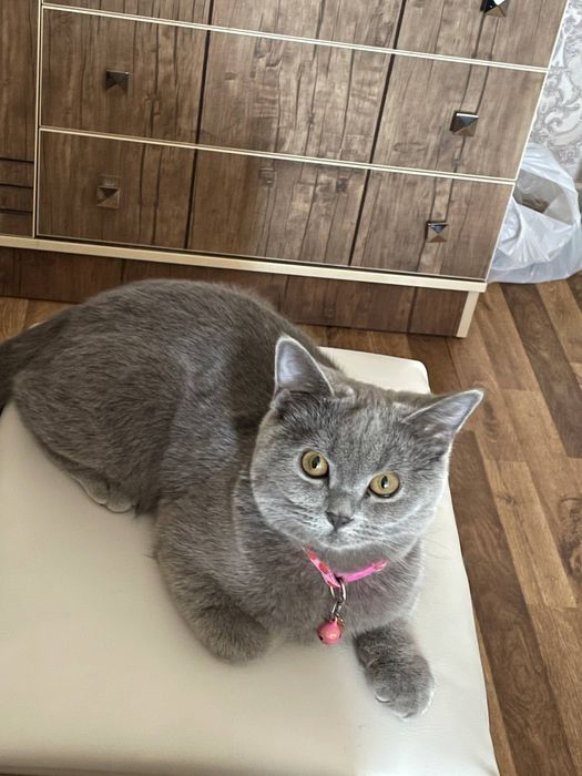 8 месяцев, девочка