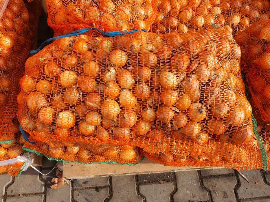 Ceapa  pentru stufat