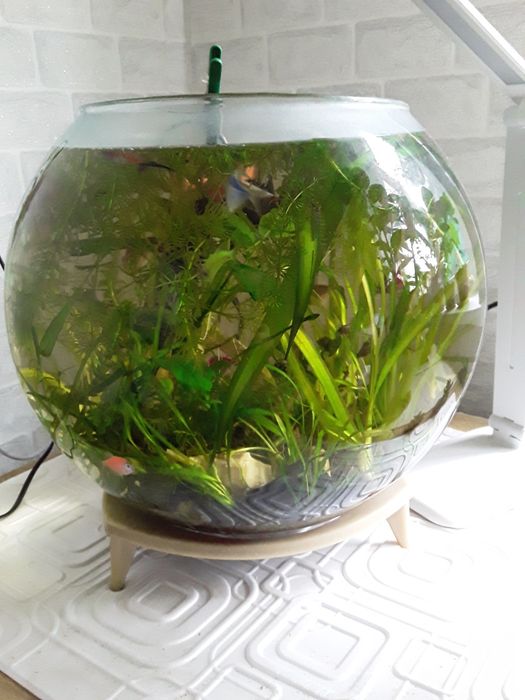 Продается аквариум