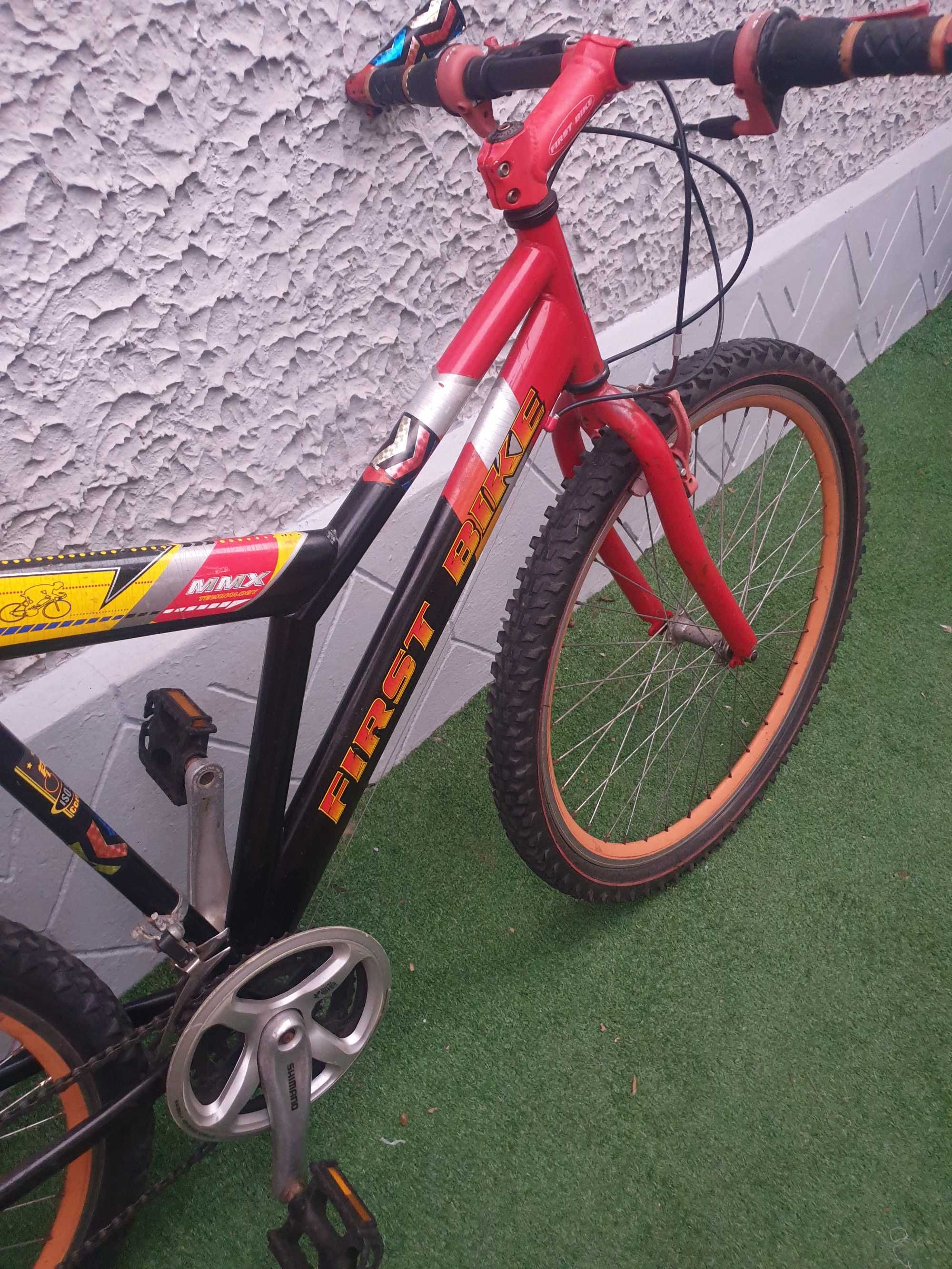 Bicicleta First Bike 26