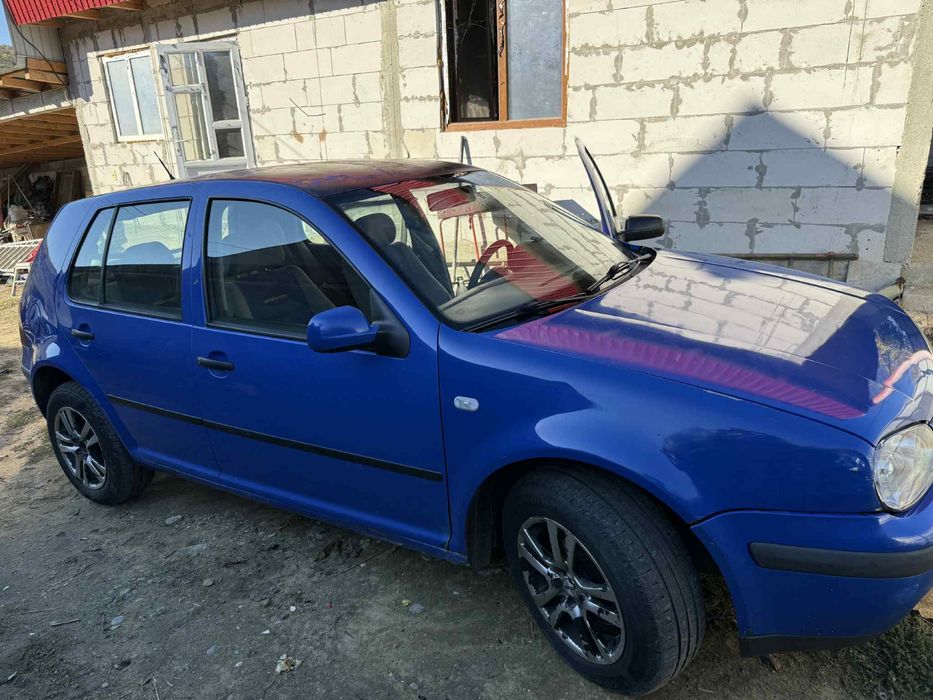 Vand sau schimb cu oi , vitei, animale