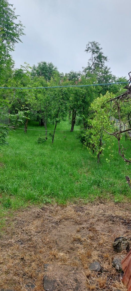 Vând casa in sat vale Săliște