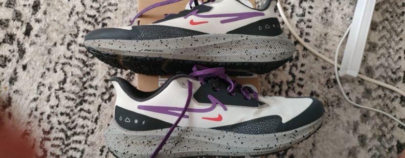 Nike pegasus