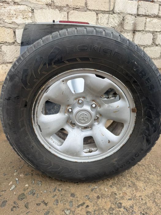 Титанка шина р17