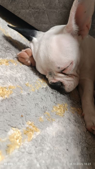 Девочка 5 месяцев