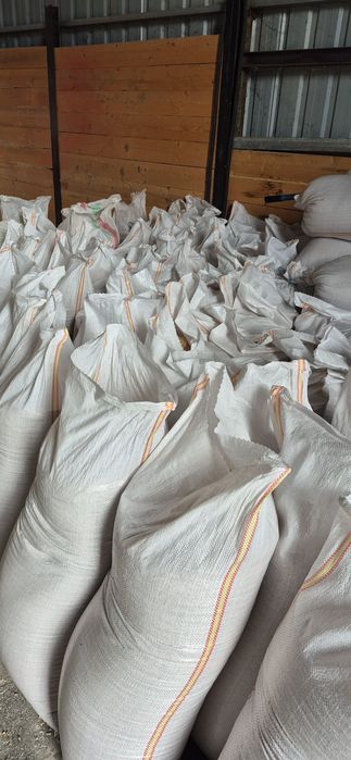 Vand grâu recolta 2025