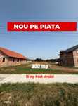 Inchiriem viitorul pe metru patrat, teren 800 mp, intravilan-Peciu Nou