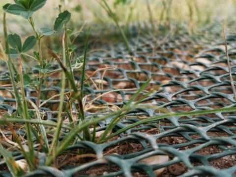 Plasa stabilizare Sol / Taluz, Verde / Negru, 1.2 x 25 m - 416.50 Lei