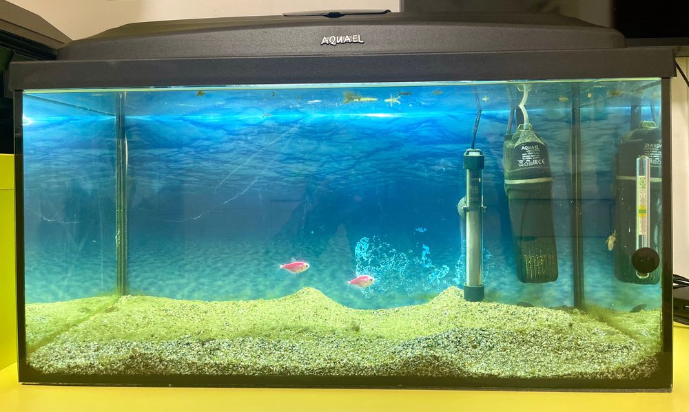 Аквариум оборудван