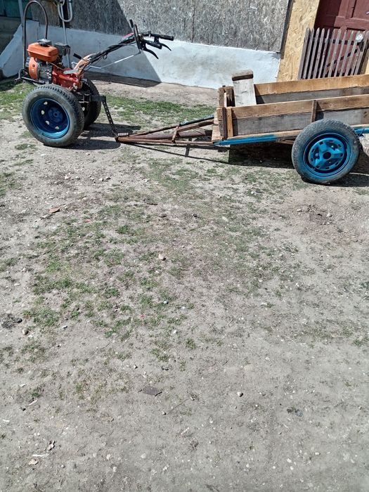 E predestinat pentru gradini
