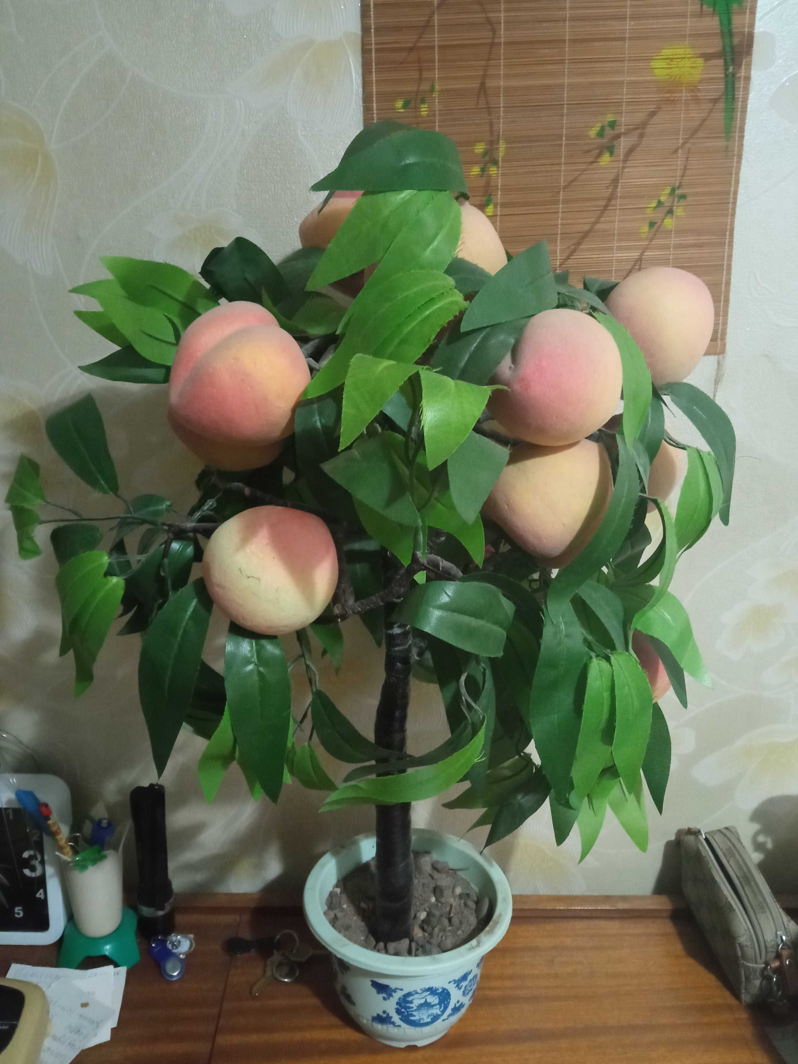 Декоративное персиковое дерево
