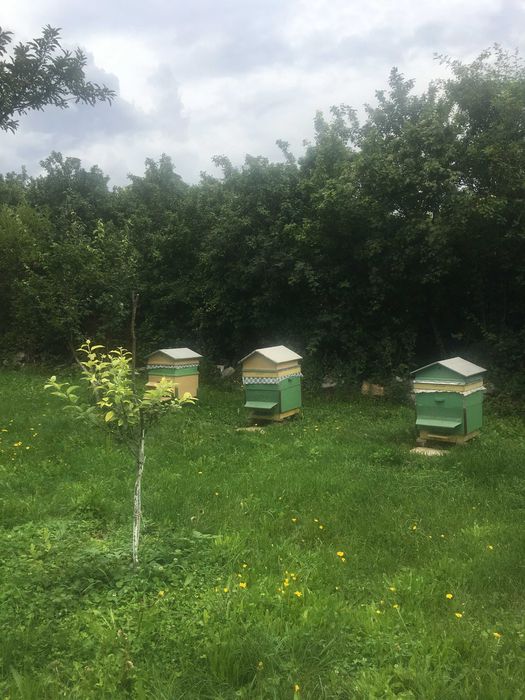 Парцел с малка къща в с. Друган