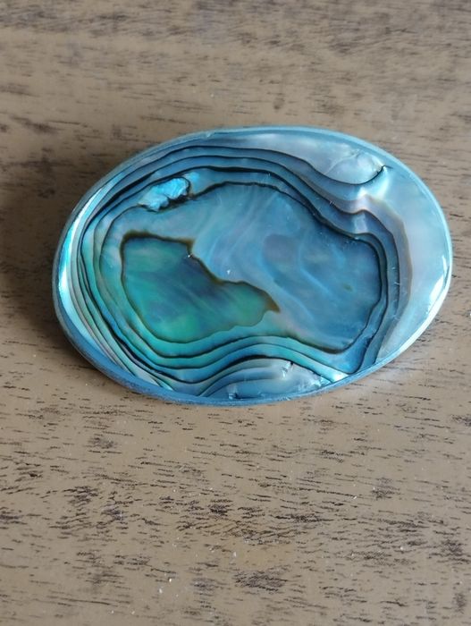 Broșă  Abalone, eleganta
