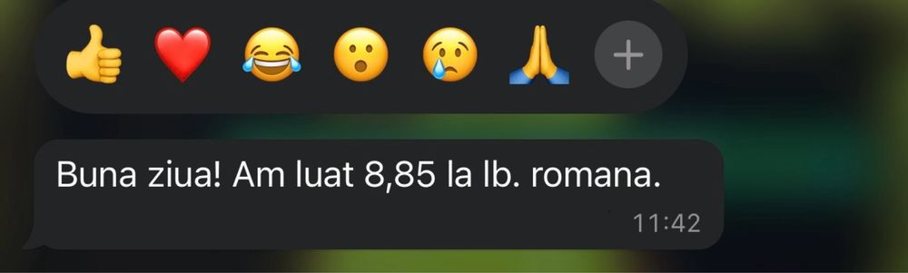 Meditatii limba si literatura romana