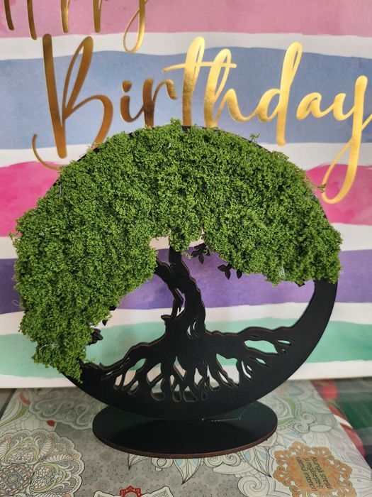 Decor natural diverse modele