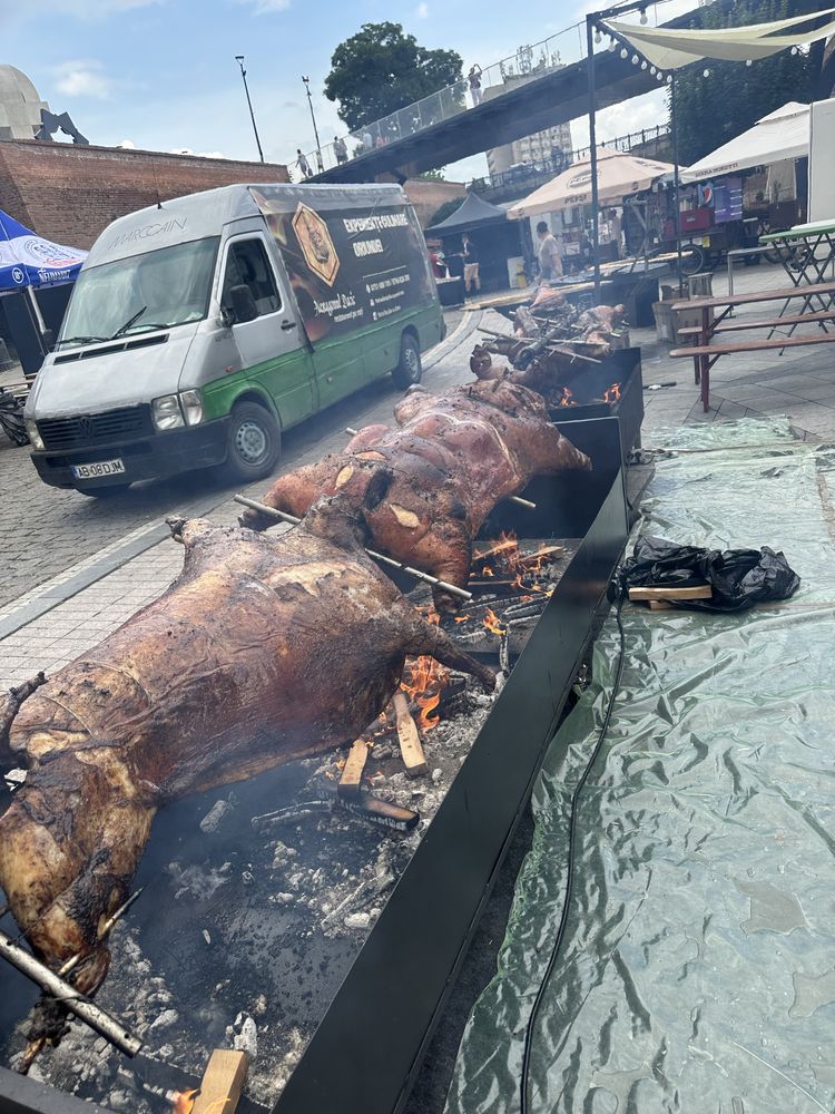 Protap de porc, vitel, berbecut, oaie, pui, curcani