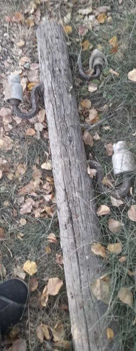 Продам деревянные столбы, бывшие линии электропередачи.