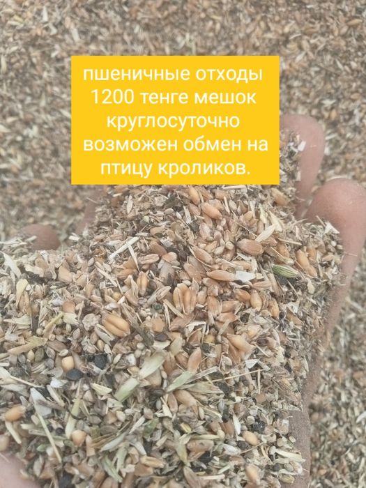 Зернооходы  1200 тенге мешок