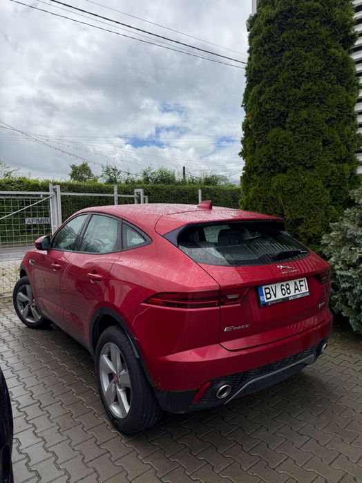 Jaguar e peace 2019