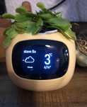 Ghiveci de birou inteligent TUYA LVY SMART