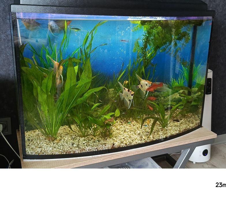 Аквариум 120 литров.