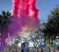 Artificii Gender Reveal - oferim spectacol GENDER REVEAL