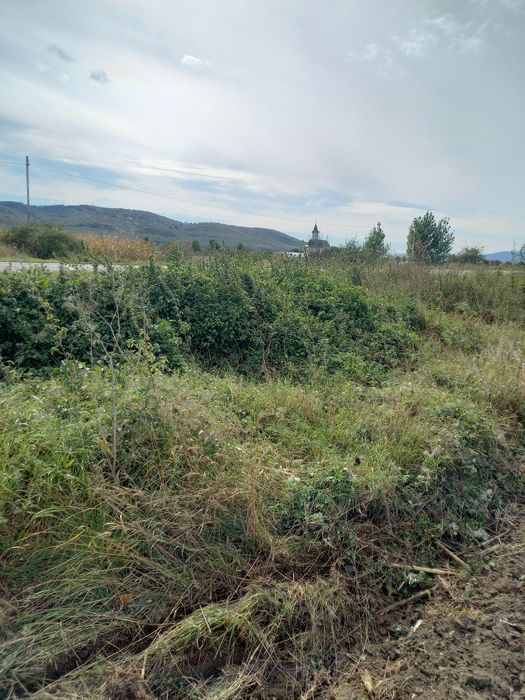 Vand teren 3600 mp  Targul Neamt .