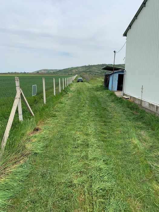8ha-locatie agricola deosebita cu dotari si utilitati moderne