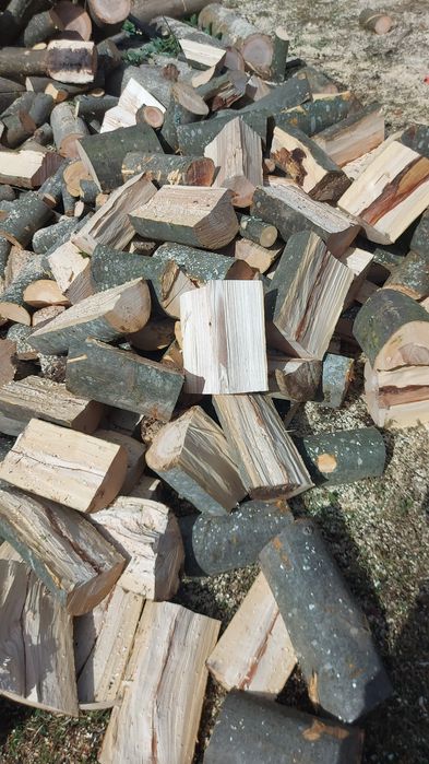 Vând lemne de foc fag și stejar ,uscate și verzi !!