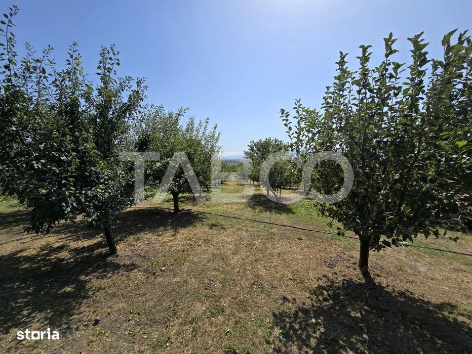 Casa singur in curte cu teren liber 2667 mp 6 camere 4 bai Daia