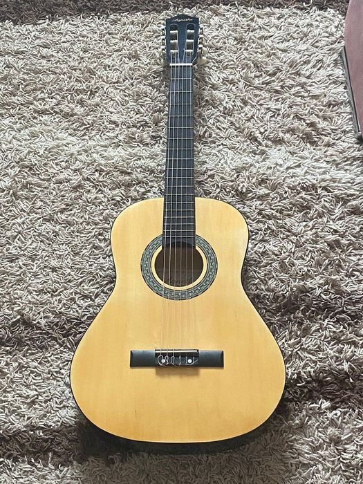 Гитара Agnetha APS-E160